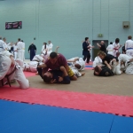 Sensei Miguel Camacho aus Spanien zeigt Mixed Martial Arts