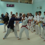 DSC04710.sized