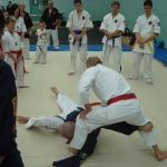 DSC04750.sized