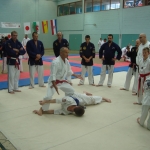DSC04760.sized