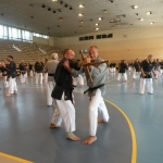 Bumkai mit dem Tonfa