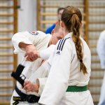 153-IMG_6182