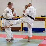 50-IMG_5523
