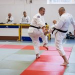 53-IMG_5533